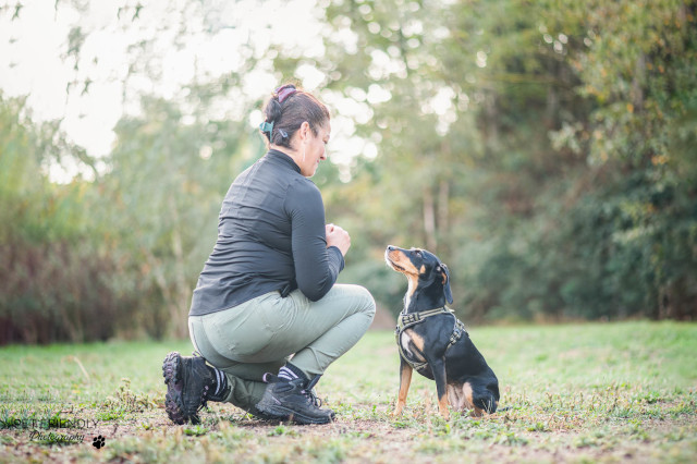 Séance d'éducation canine à Saint-Étienne avec un chien qui donne la patte